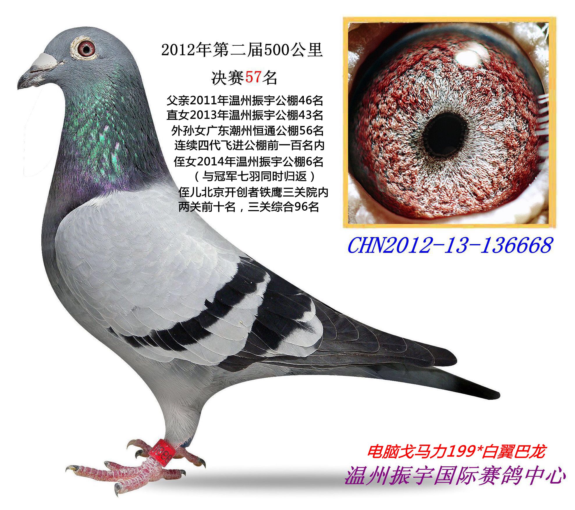 振宇公棚57名