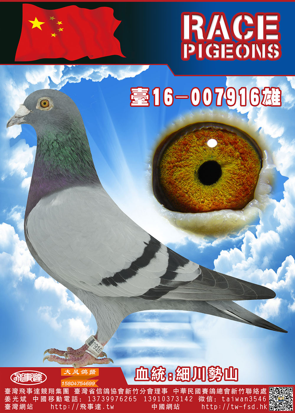 细川势山系916