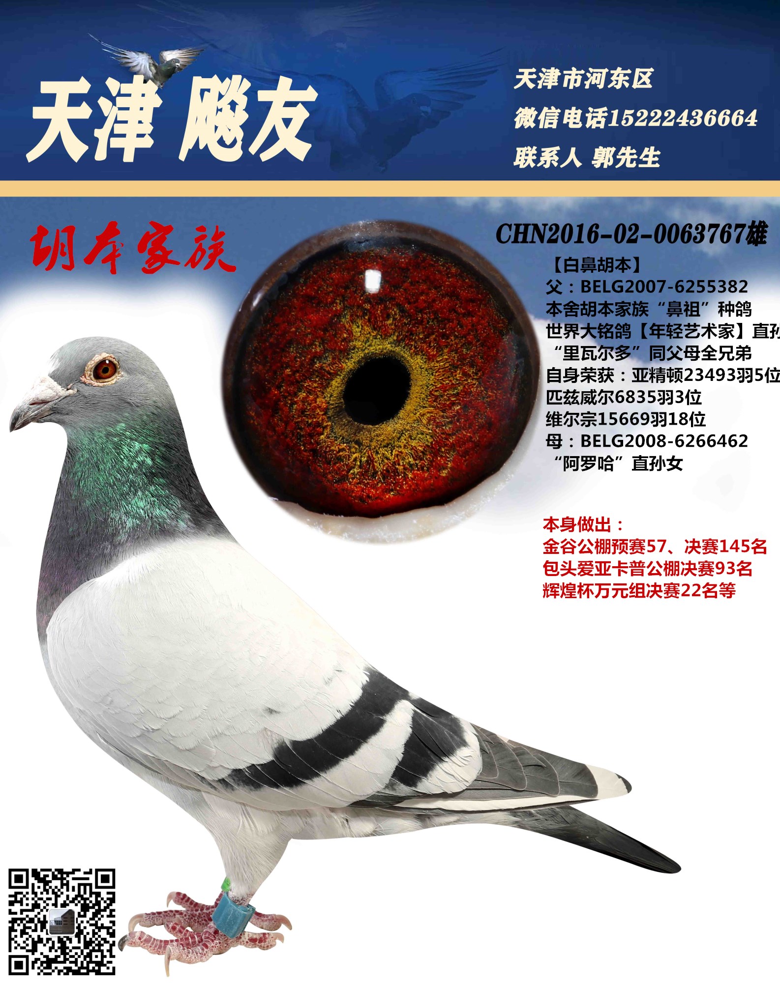 白鼻胡本