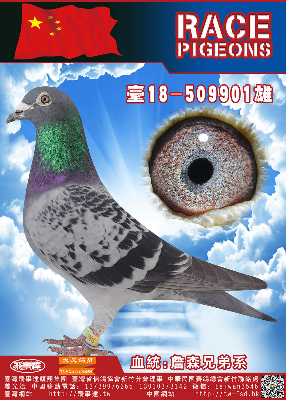 清棚詹森019多重近亲901