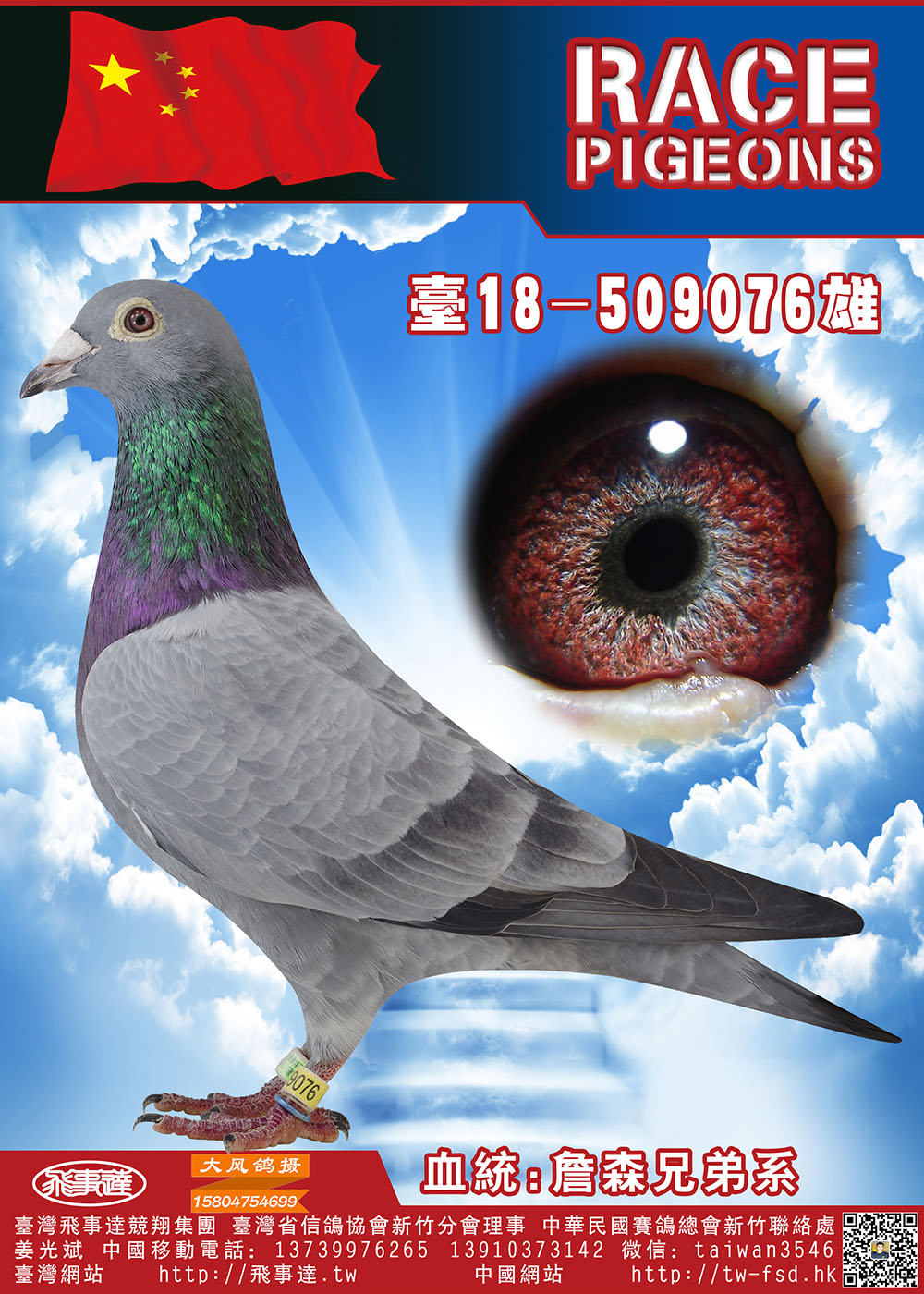 詹森兄弟老白眼076