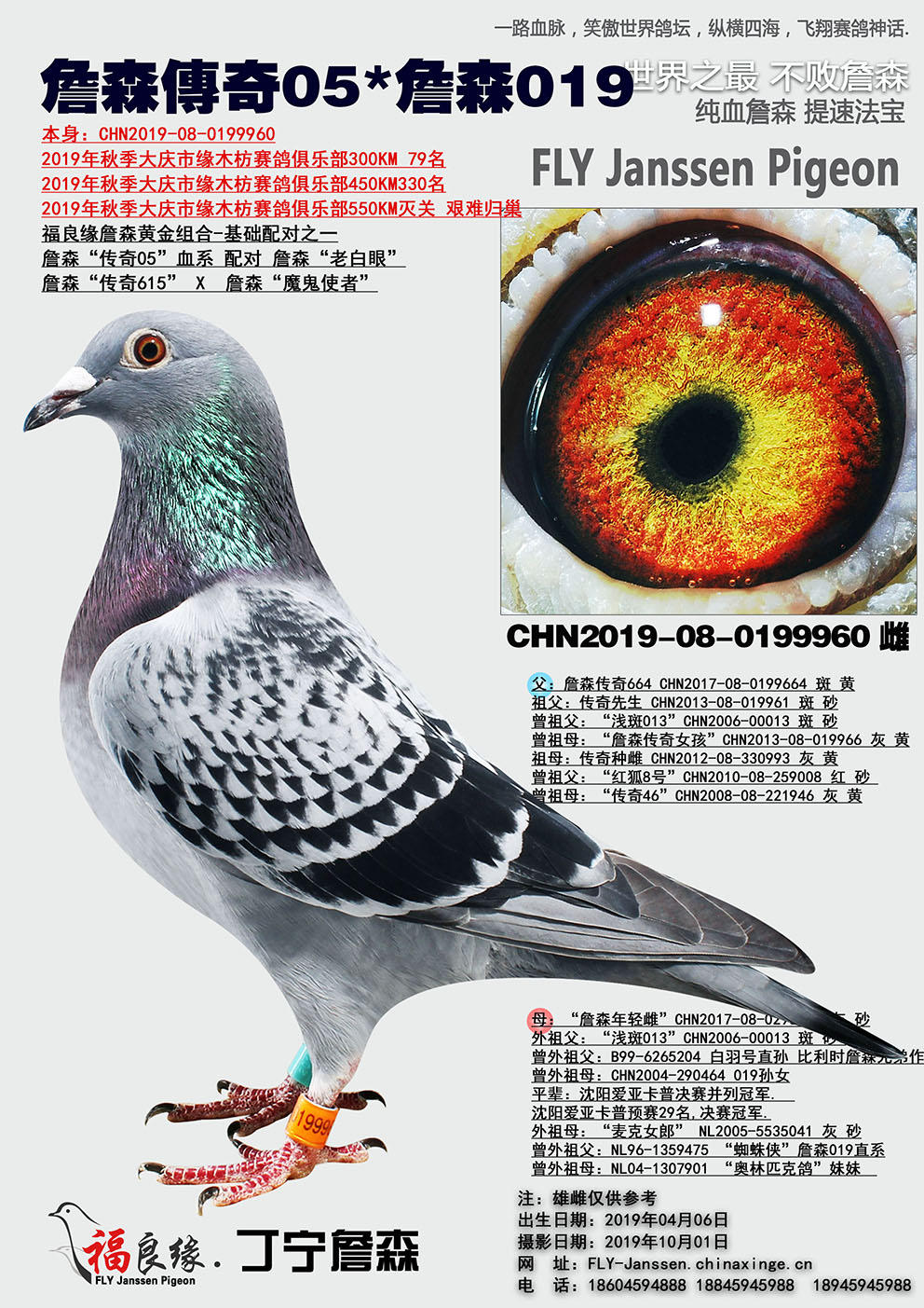 詹森传奇05*詹森019