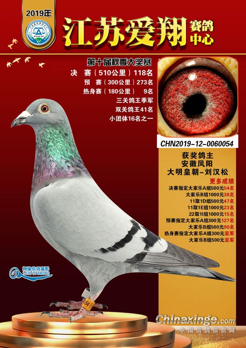 com爱鸽商城_中国信鸽信息网