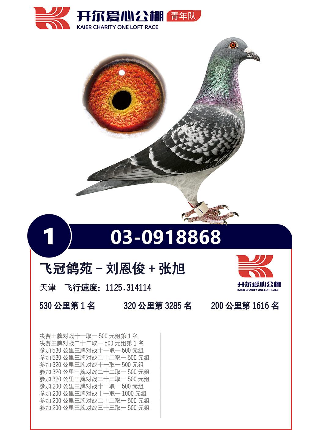 开尔公棚(青年棚)冠军