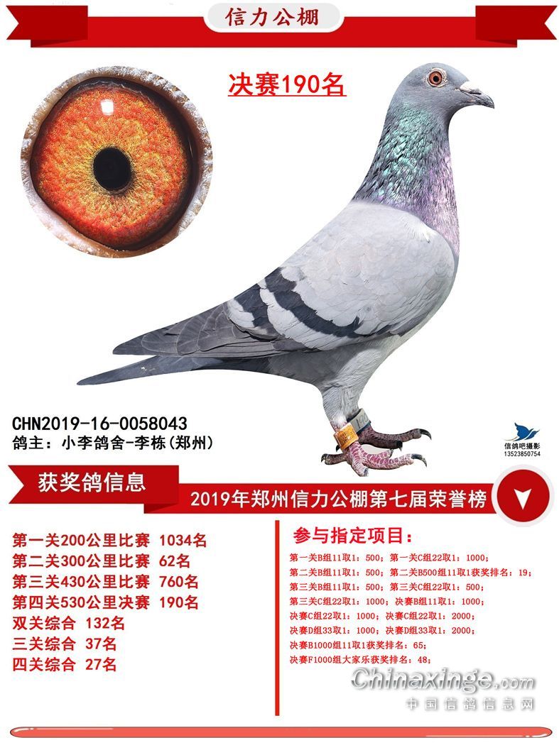 19年河南信力公棚决赛190名