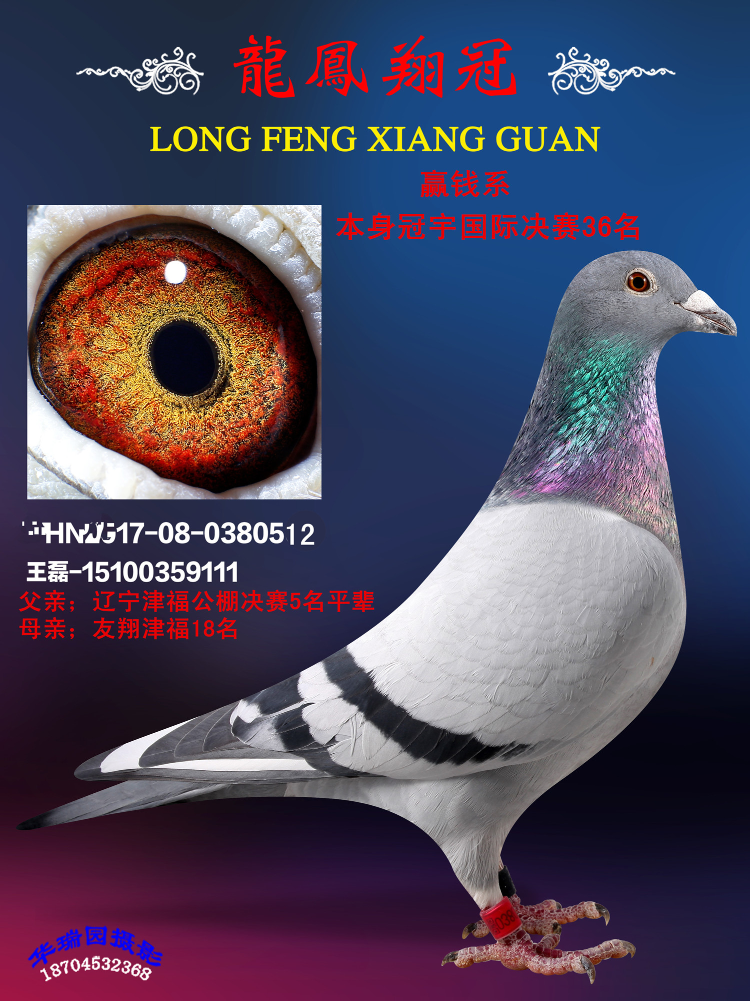 赢钱系36名
