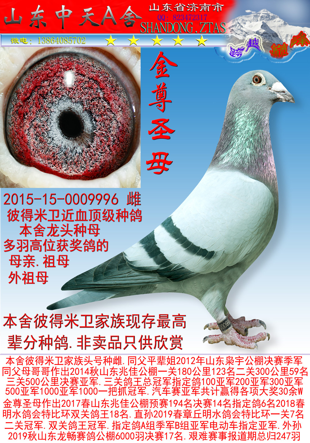 >>                      所有铭鸽展示目录后台管理联系我们鸽友留言
