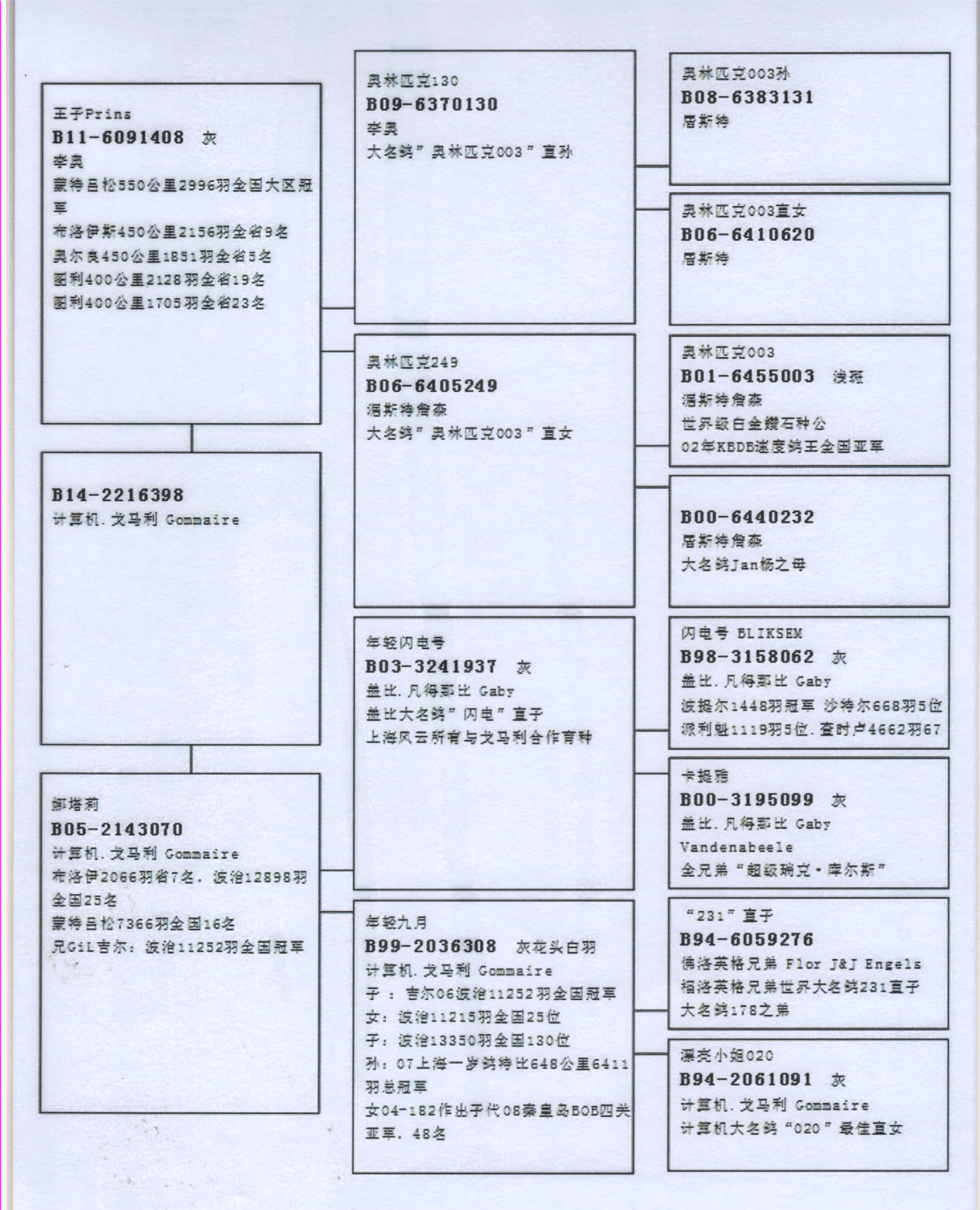 血統書