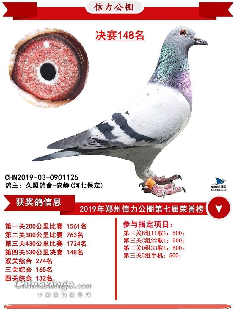 19年郑州信力决赛148_河北久盟鸽舍_ ag188.com爱鸽商城_中信网