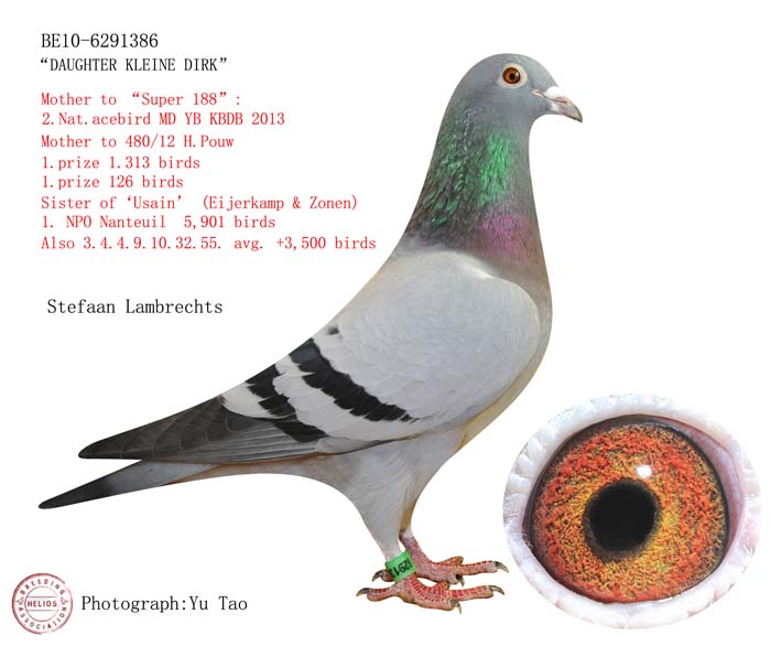 "小迪克回血"史蒂芬.兰布瑞契