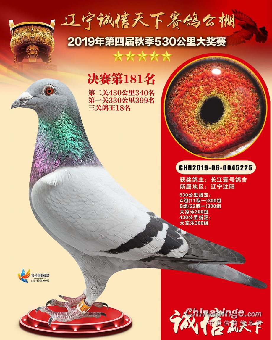 雄目 錄:2019新照片(資料整理中)人 氣:6955次血 統:501直女/金偉魚行