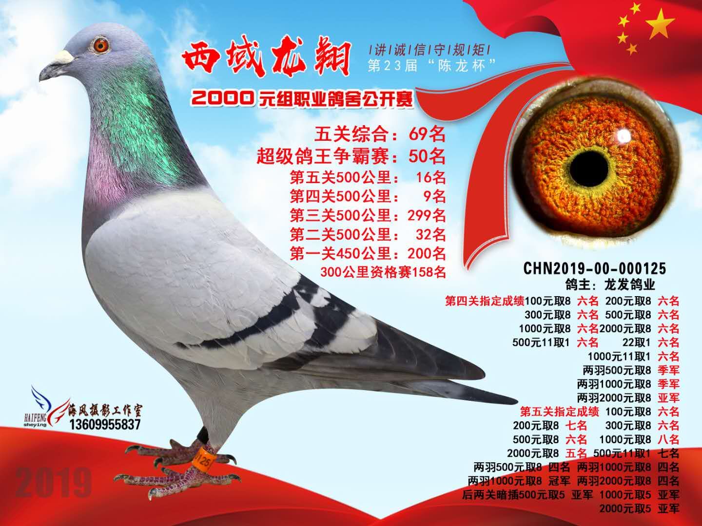 本身获得2019年陈龙杯五关鸽王69名