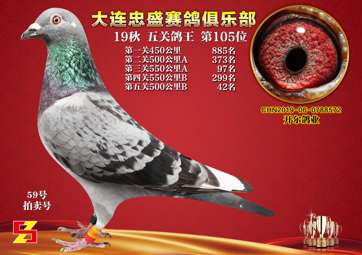 19秋大连忠盛五关综合105名_唐山开尔鸽业_ ag188.