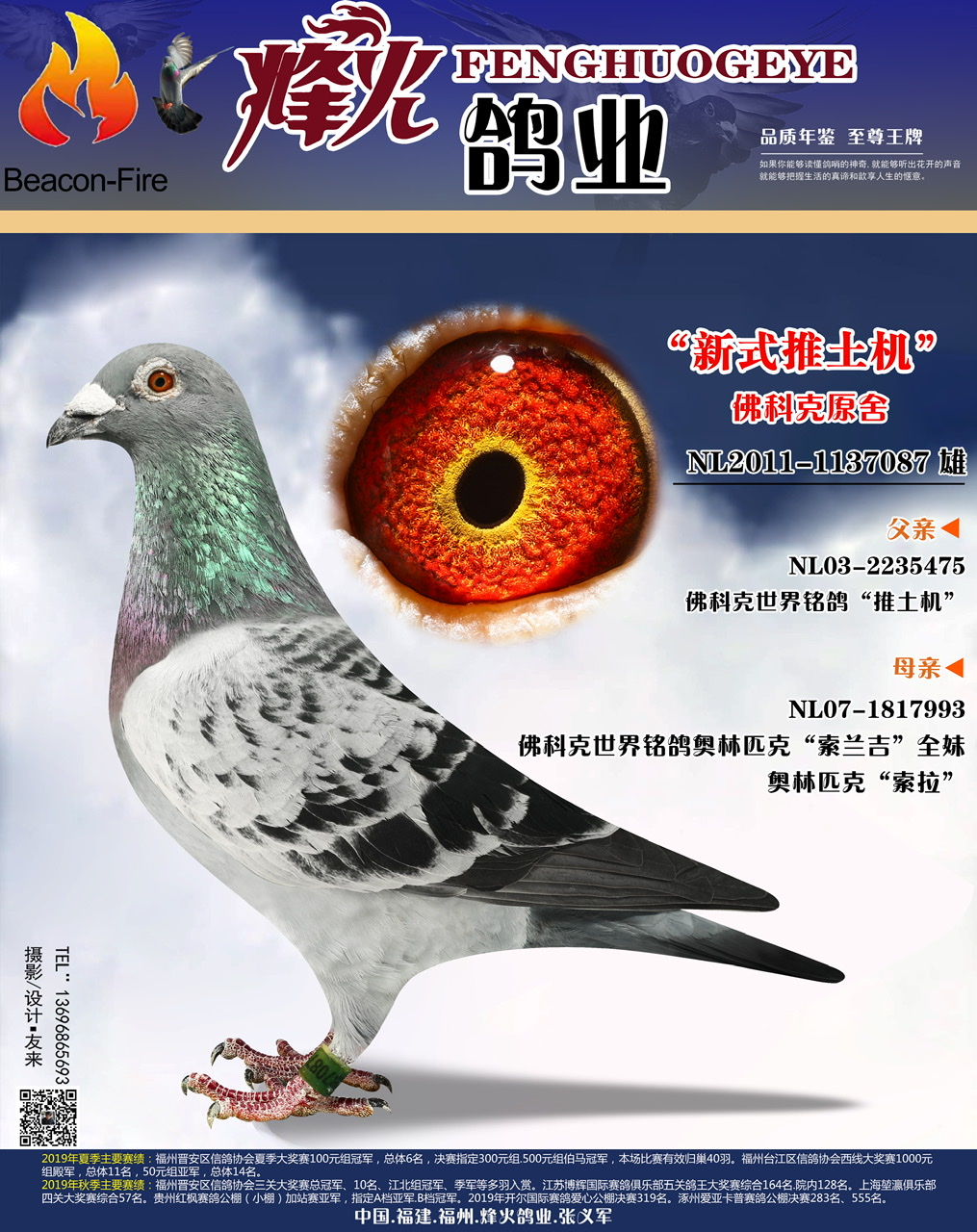 "新式推土机"_烽火鸽业_ag188.com爱鸽商城_中国信鸽信息网