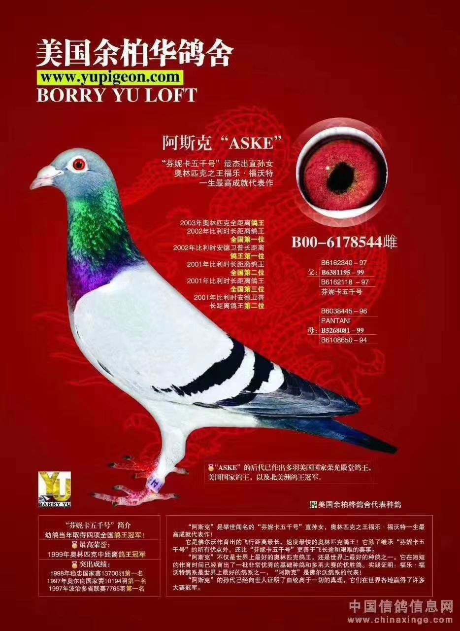 芬妮卡.5000阿斯克血系