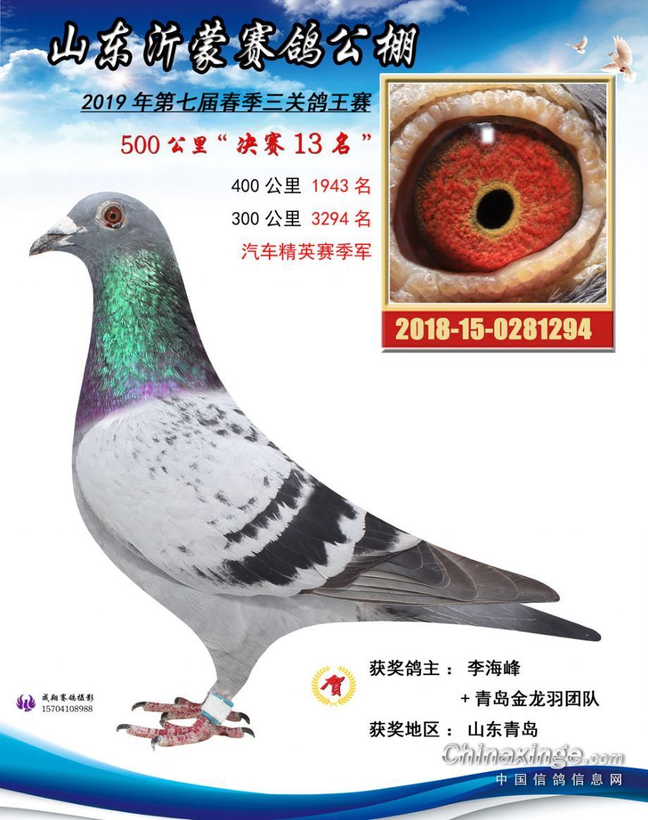 山东沂蒙春棚决赛13名_青岛金龙羽_ag188.com爱鸽商城_中国信鸽信息网
