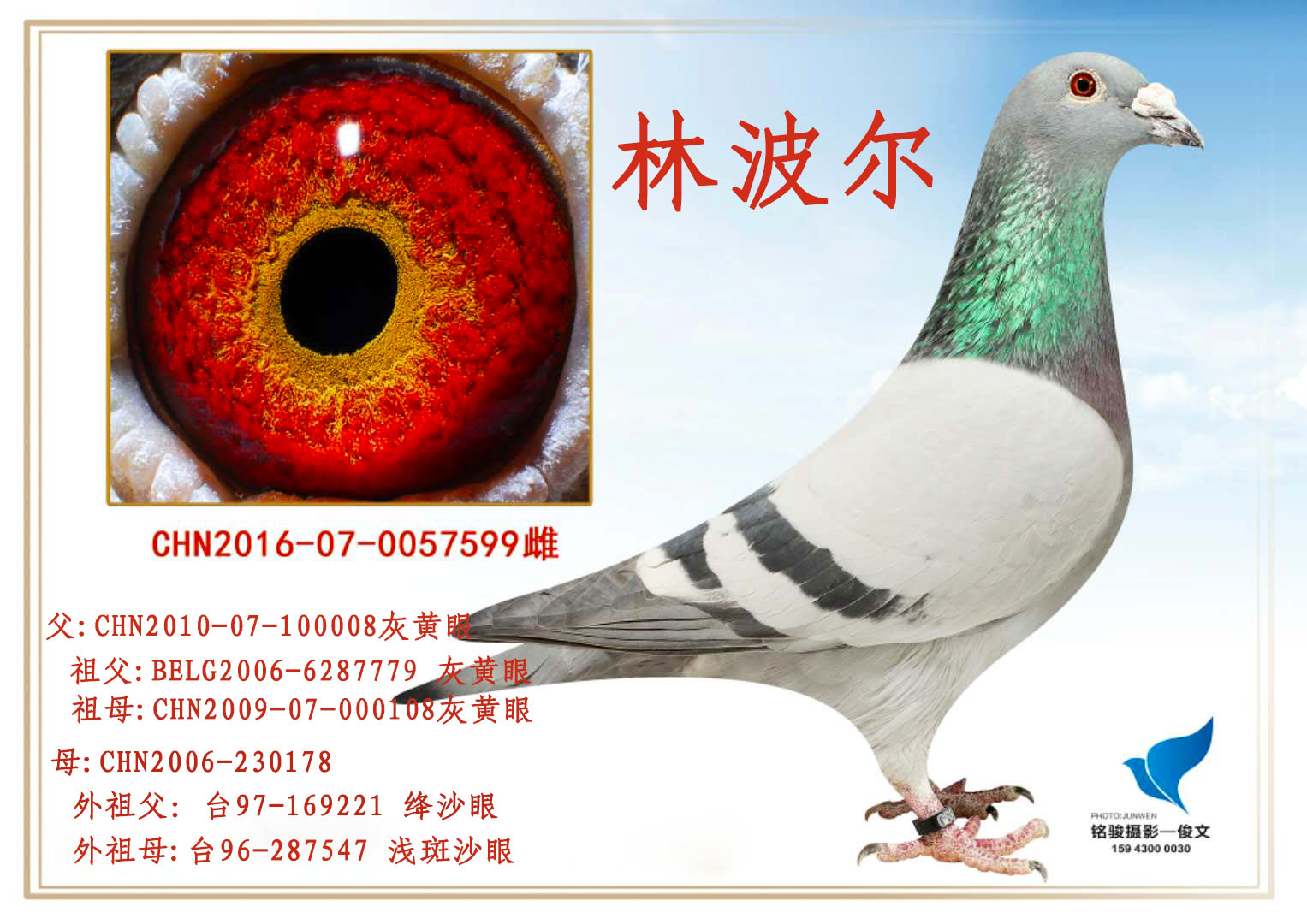 林波尔维京公主号