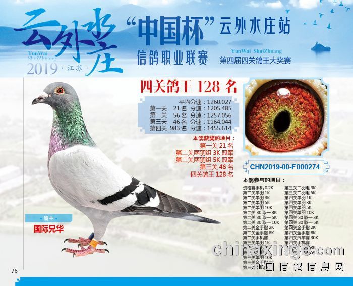 四关鸽王128位