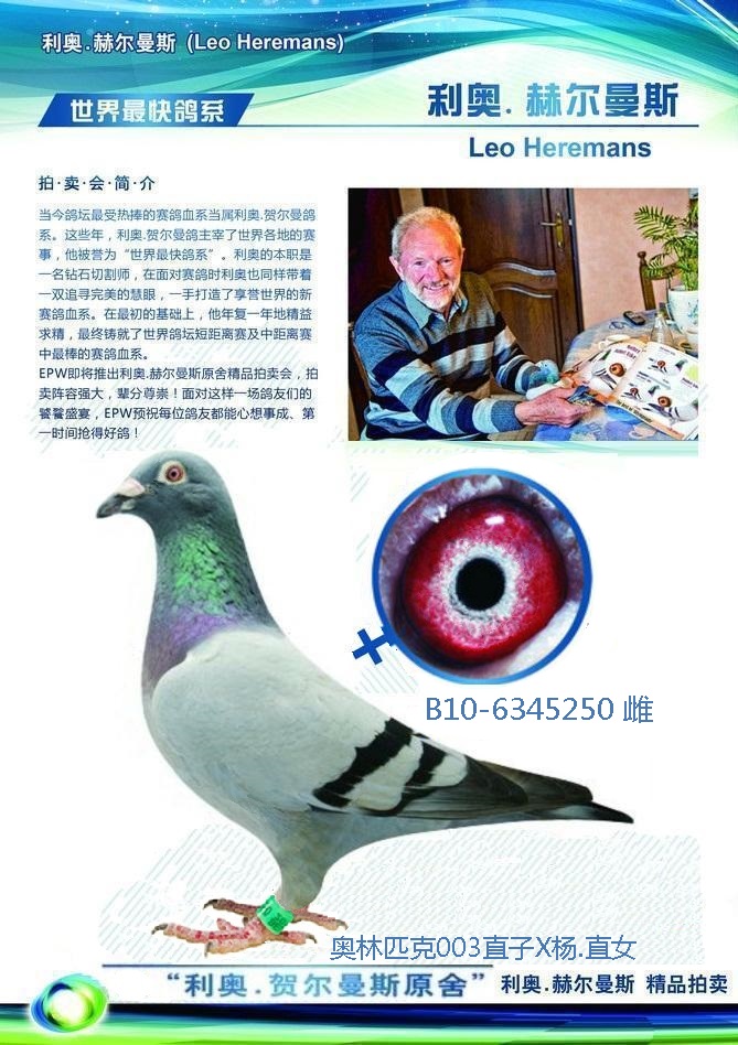 利奥.贺尔曼斯.原舍