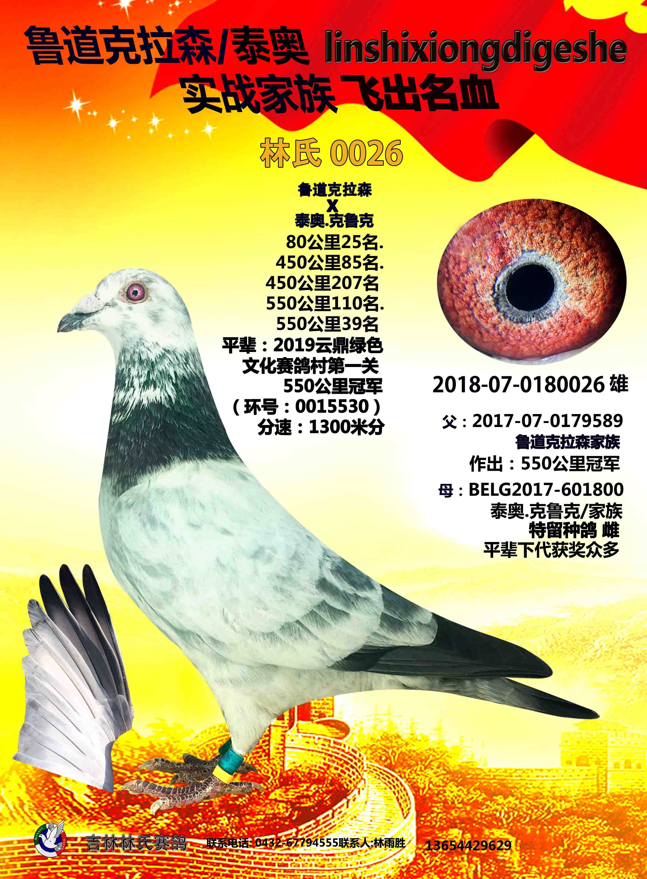 鲁道克拉森x泰奥.克鲁克