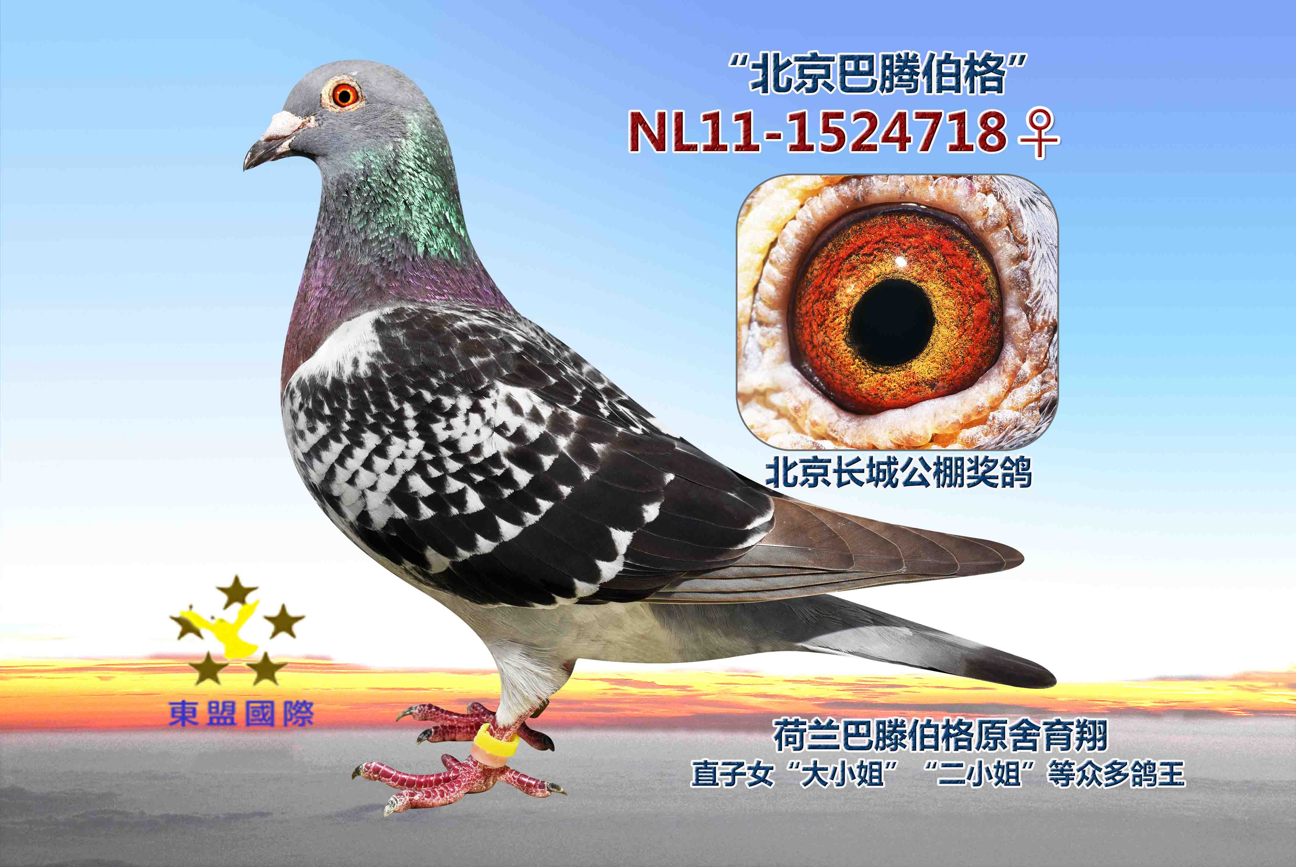 母亲"北京巴滕伯格"