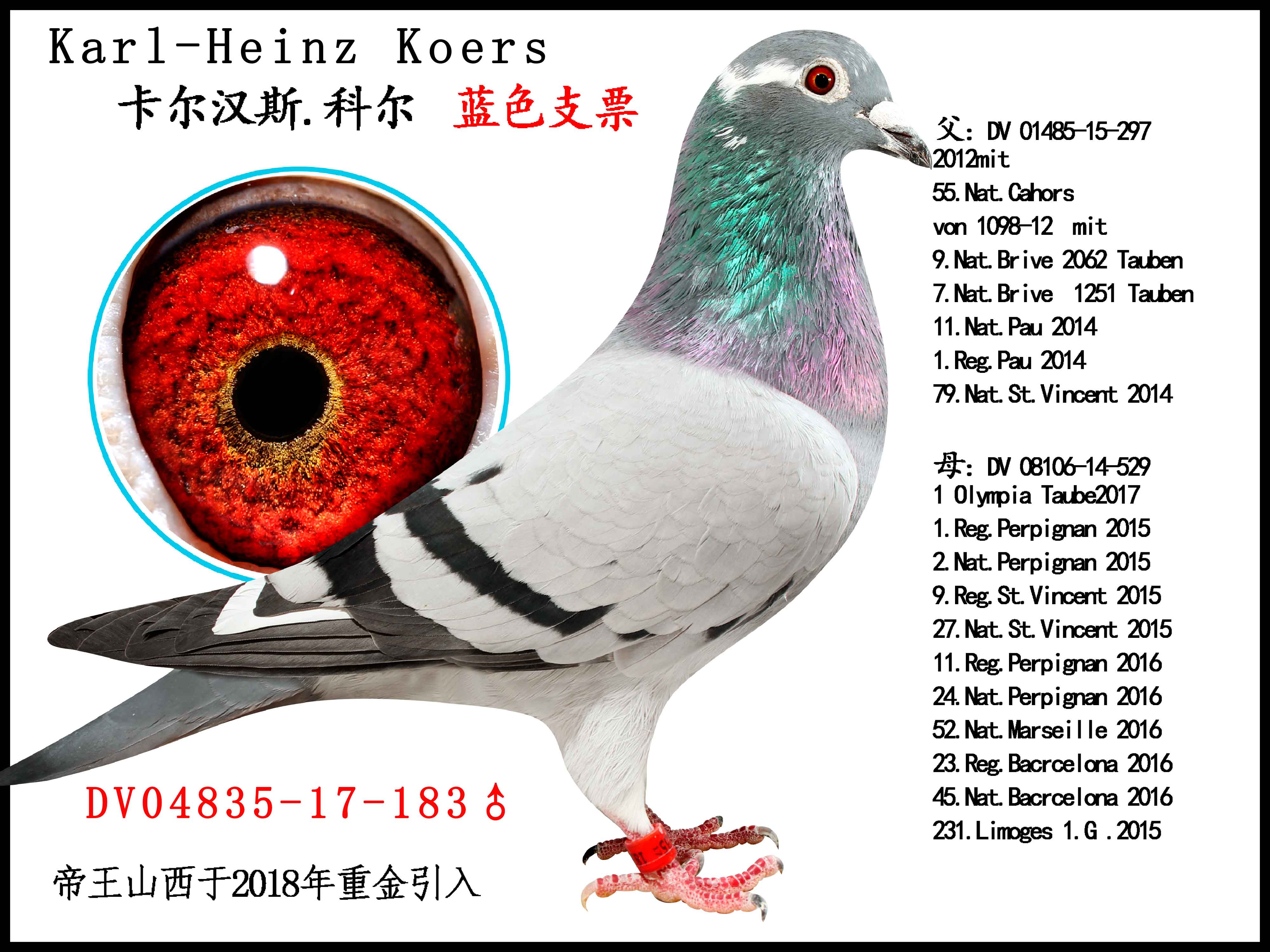 卡尔-汉斯-科尔-蓝色支票