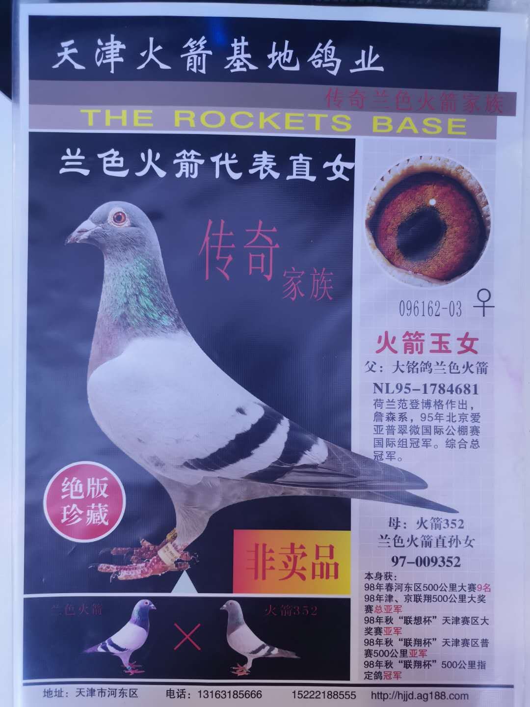 蓝色火箭直孙女