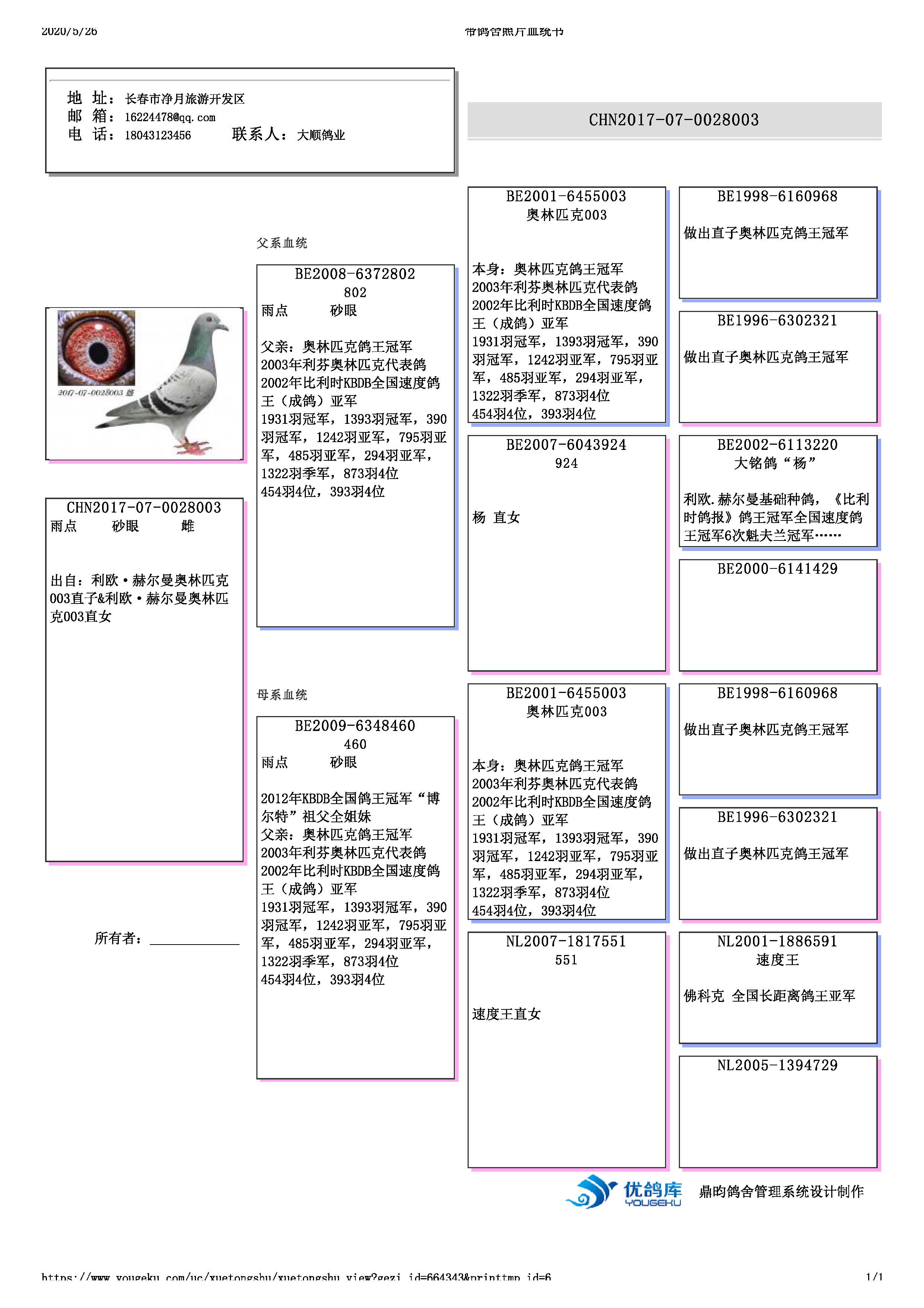 com爱鸽商城_中国信鸽信息网