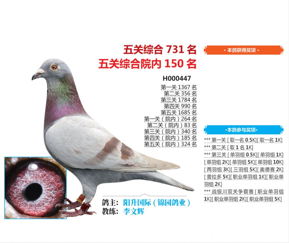 号:2019-00-h000447性 别:雄目 录:2019中国杯西安威力慧能五关人 气