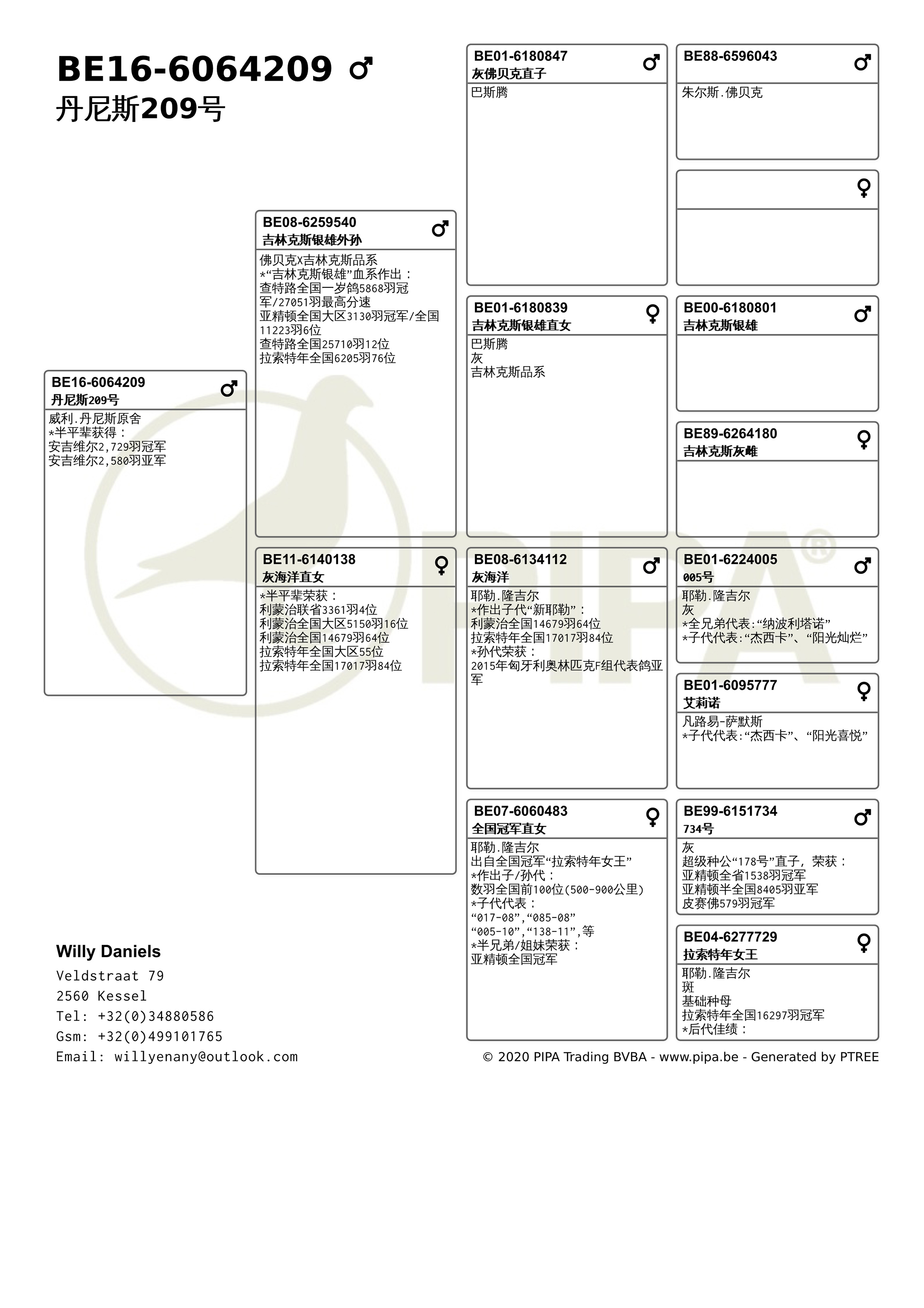 "丹尼斯209号"_东盟国际_ag188.com爱鸽商城_中国信鸽信息网