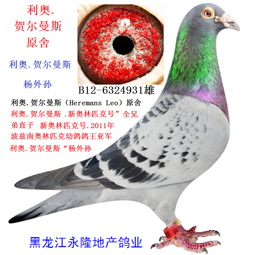 利奥.贺尔曼斯原舍