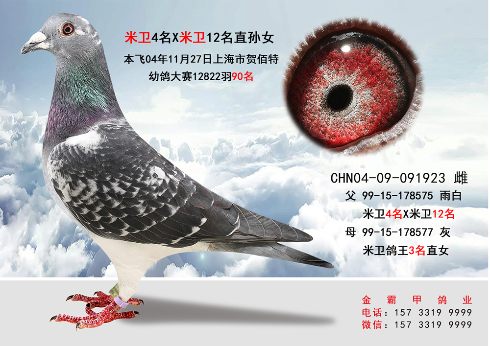 贺伯特杯12822羽90名