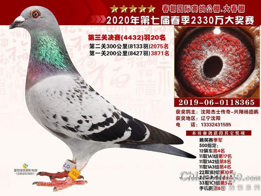 春潮大棚决赛20名