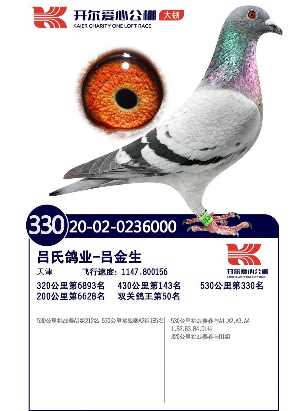 唐山开尔公棚大棚决赛330名