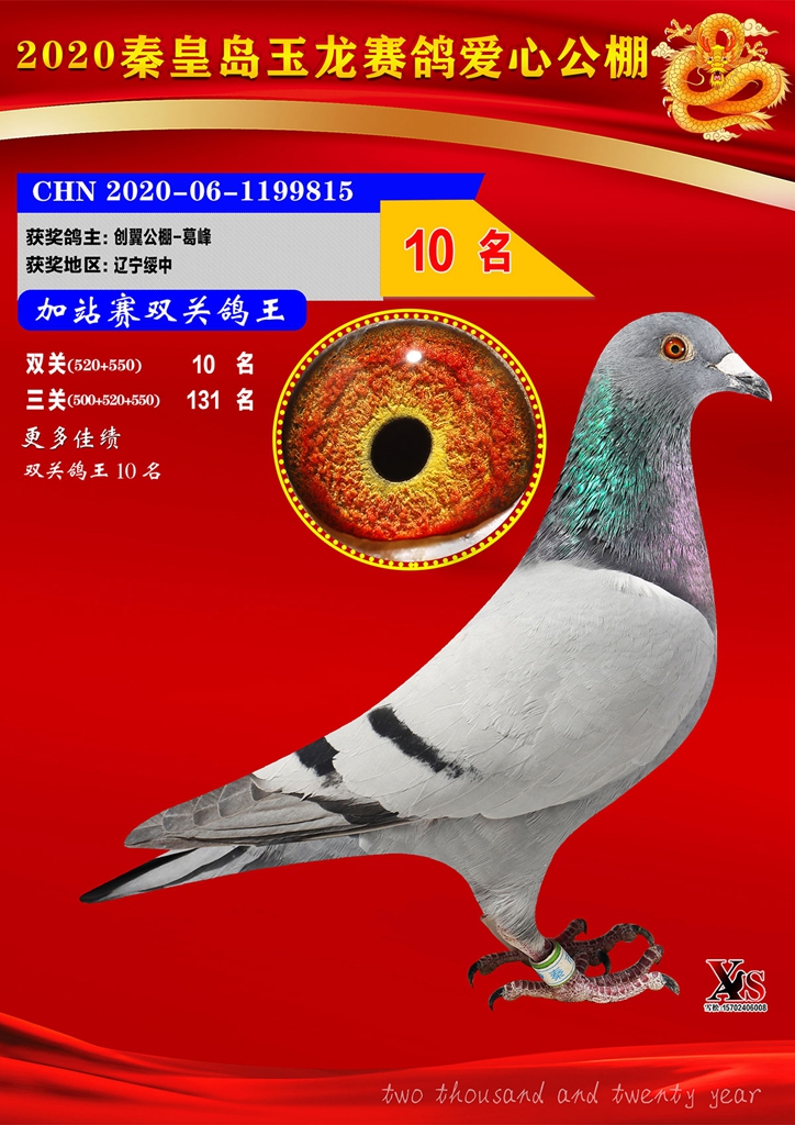 北京玉龙鸽业种鸽展厅图片