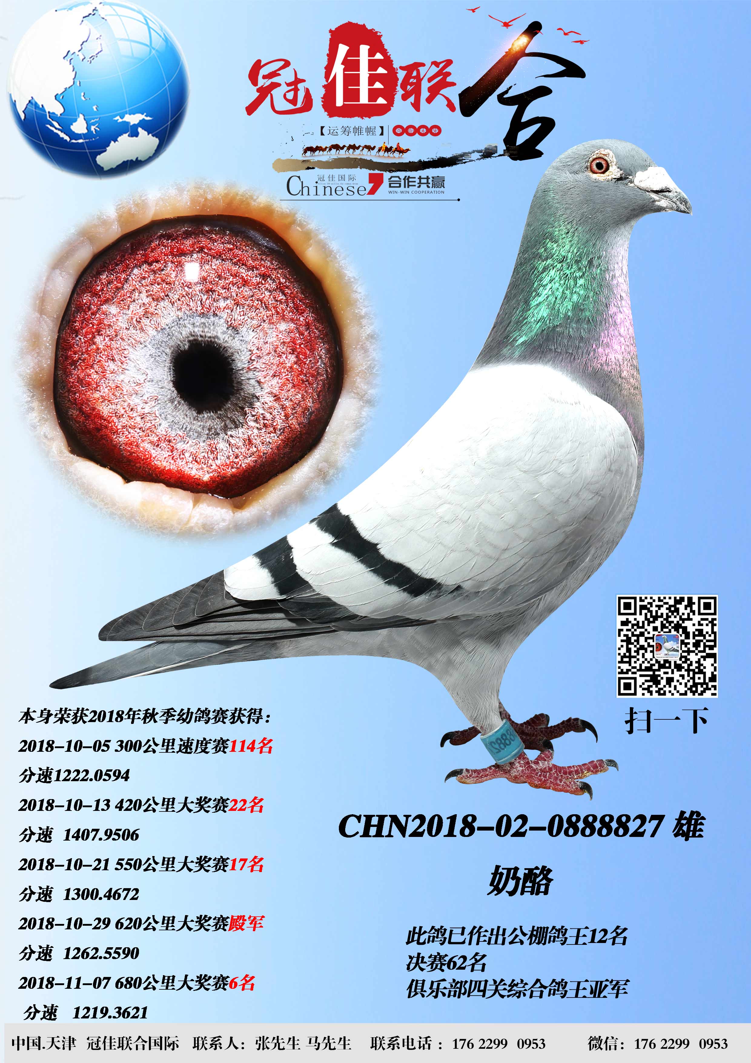 奶酪_冠佳联合_ ag188.com爱鸽商城_中信网