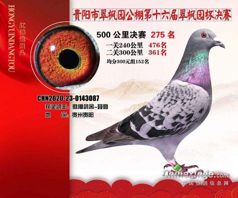 考夫曼配克拉克加凡龙