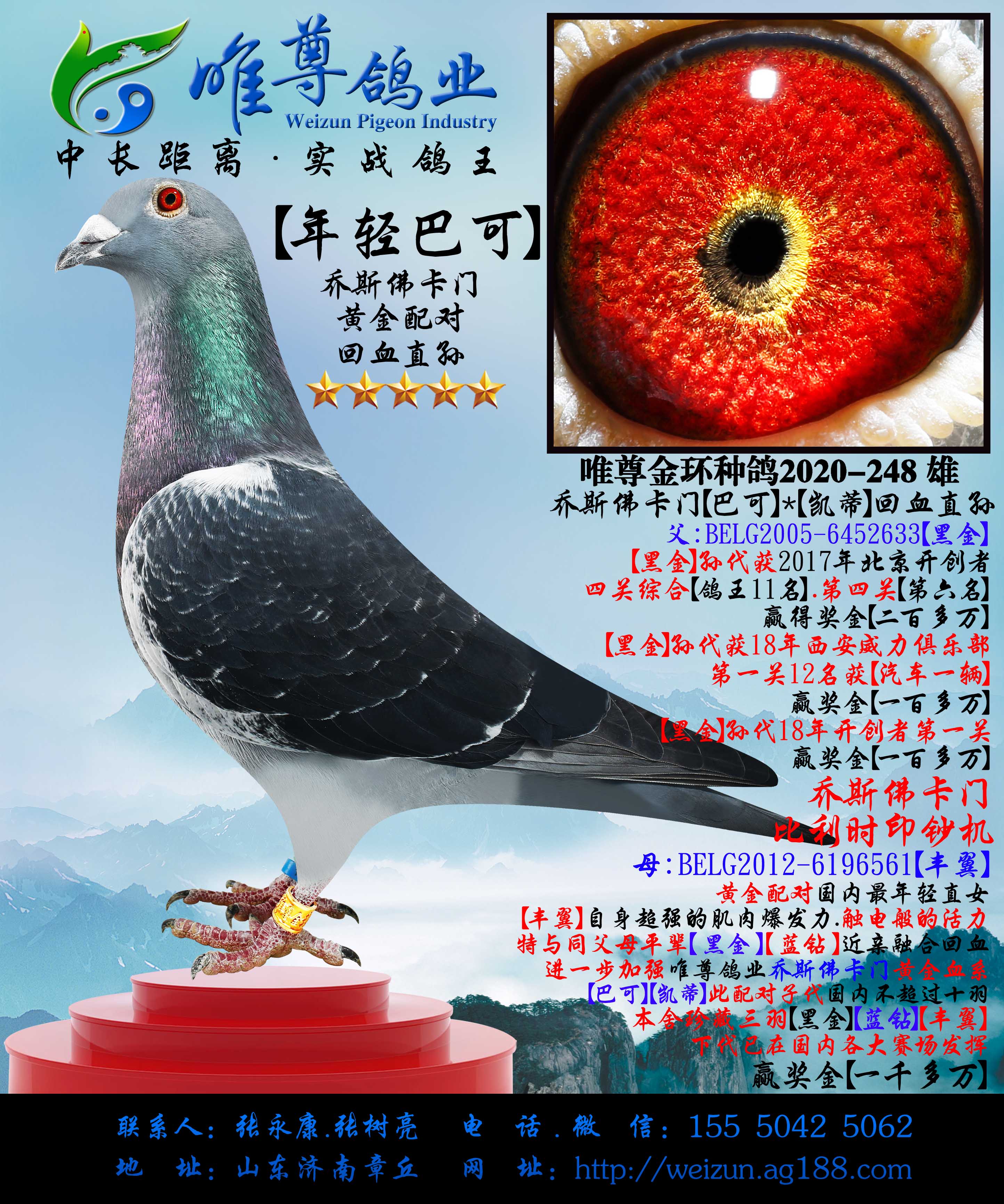 【巴可黑妞】乔斯佛卡门"黄金配对"直孙女