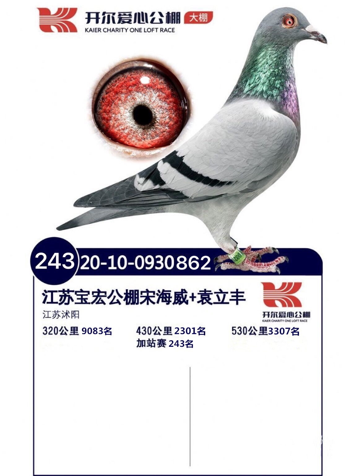 唐山开尔公棚大棚获奖鸽