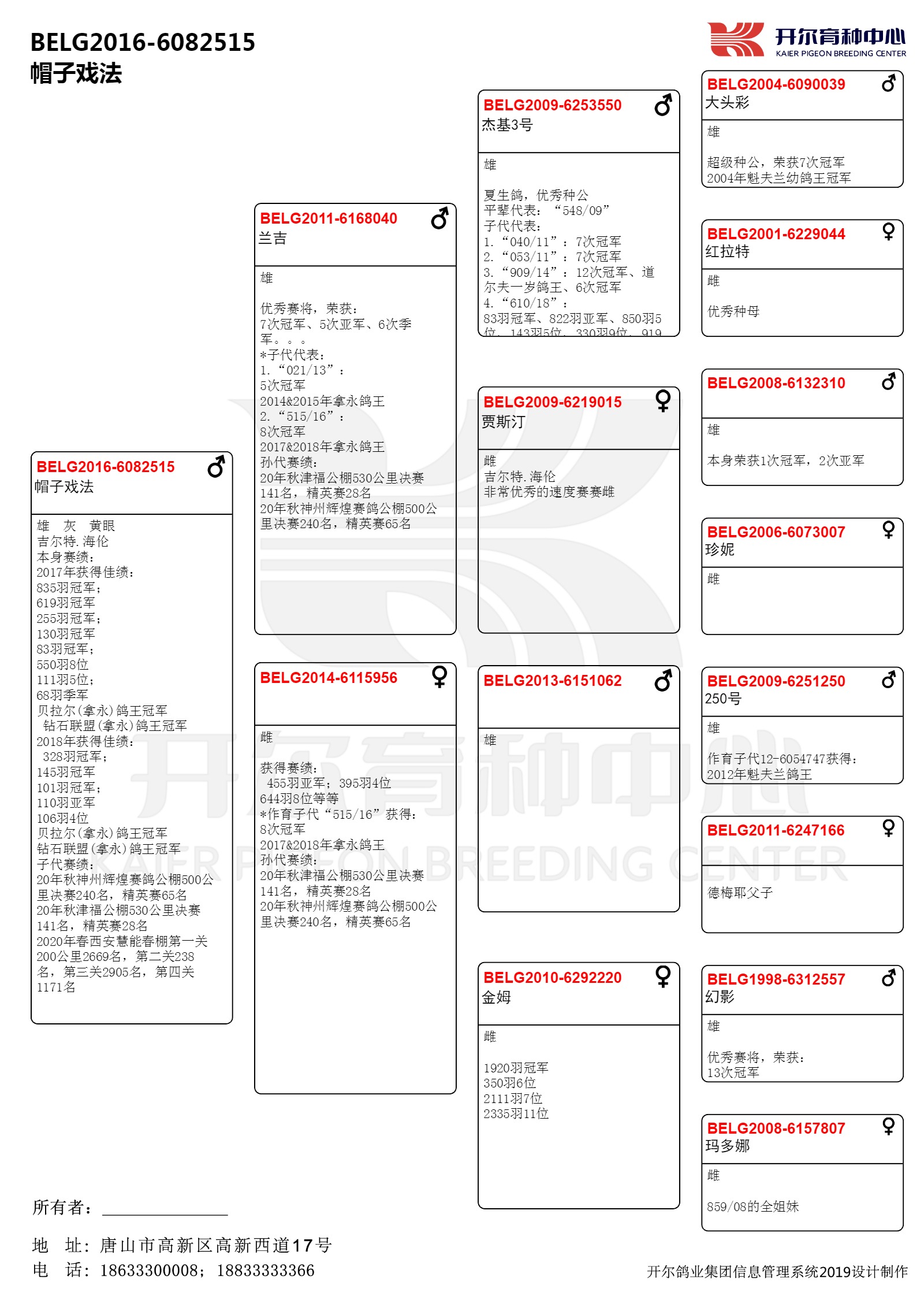 帽子戲法_唐山開爾鴿業_ag188.com愛鴿商城_中國信鴿信息網