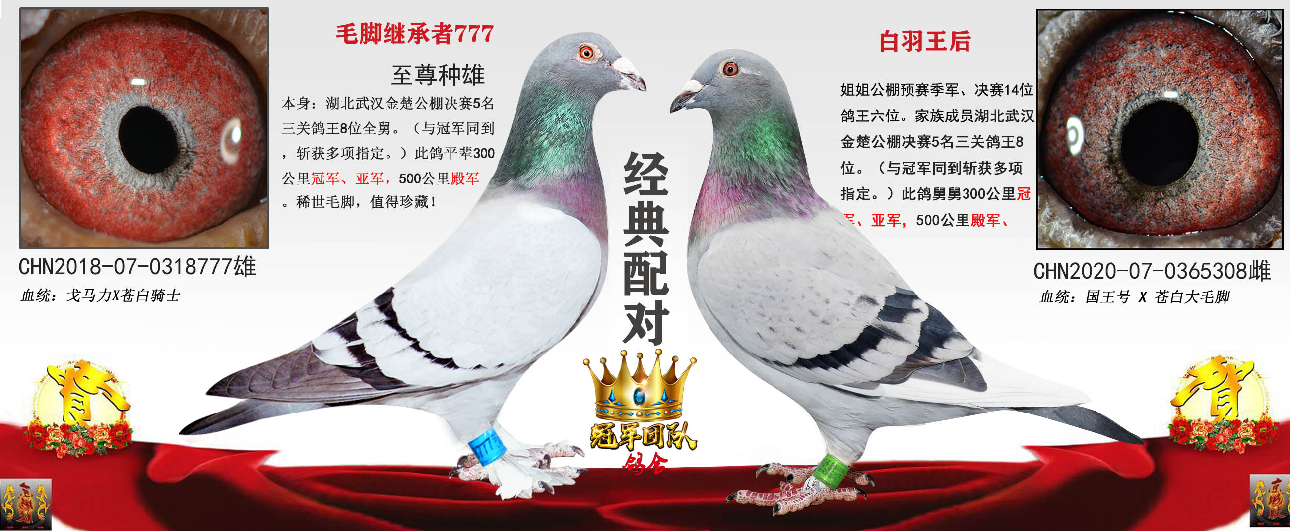 毛脚777x公棚季军妹妹