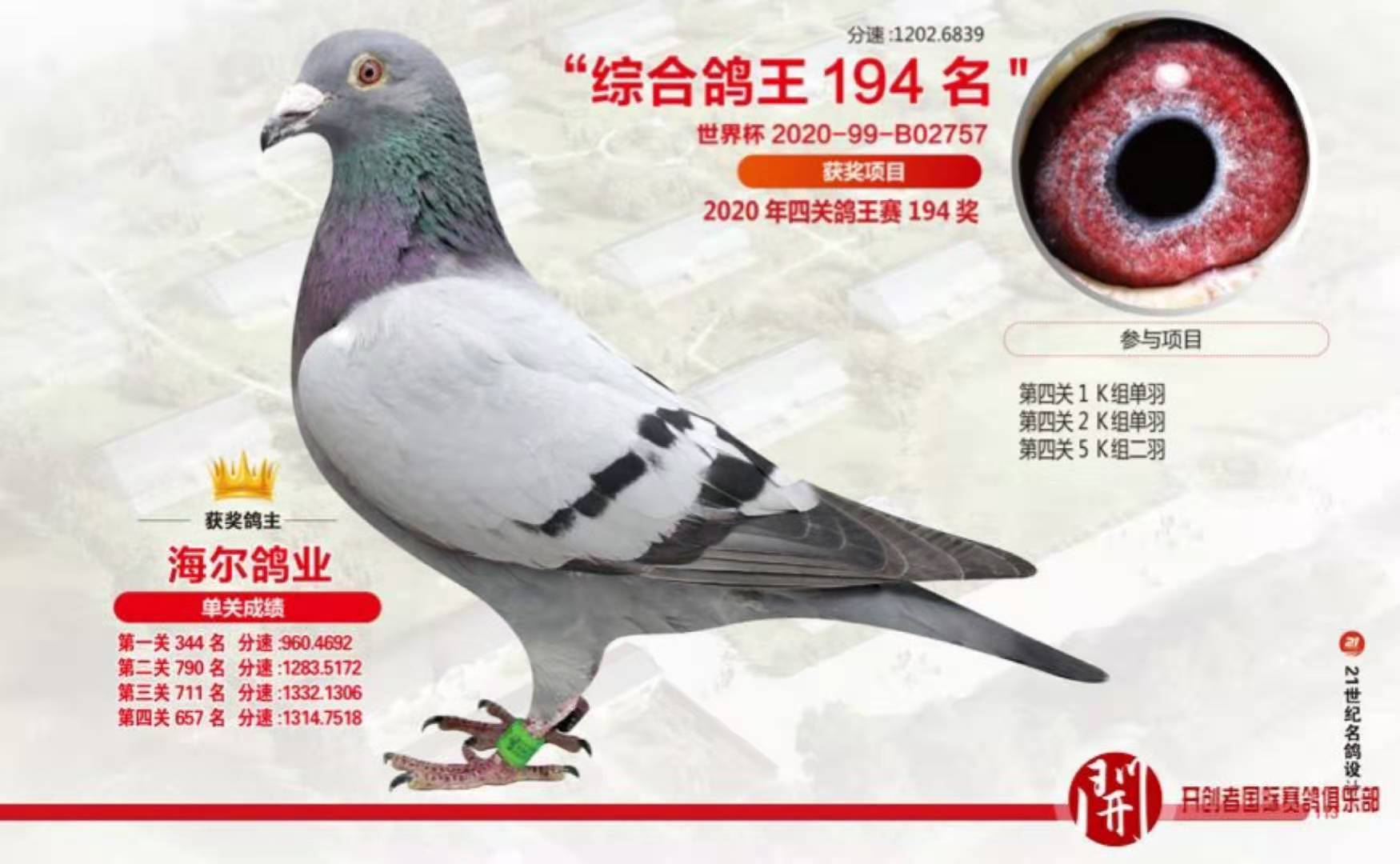 2020年北京开创四关鸽王194位