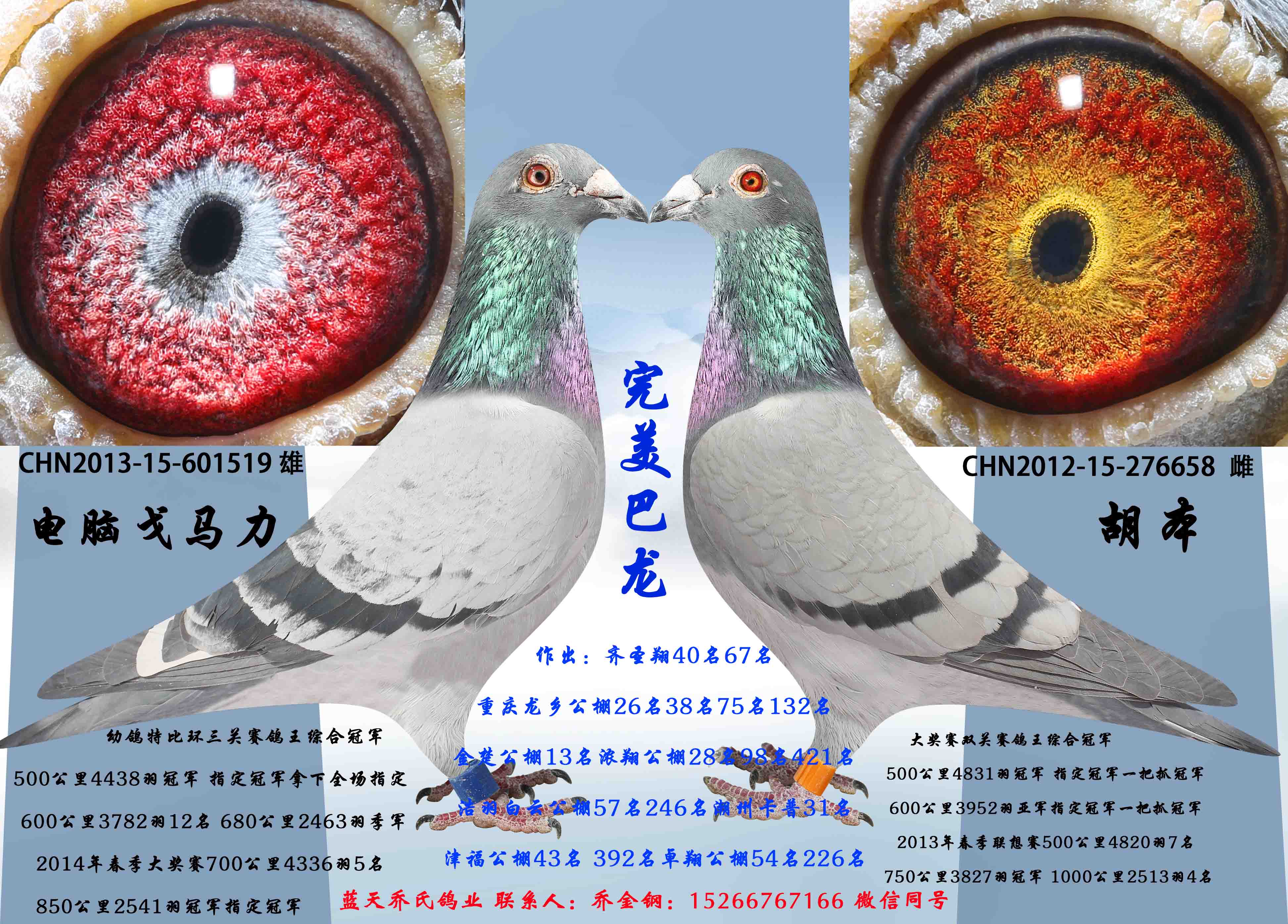 完美巴龙
