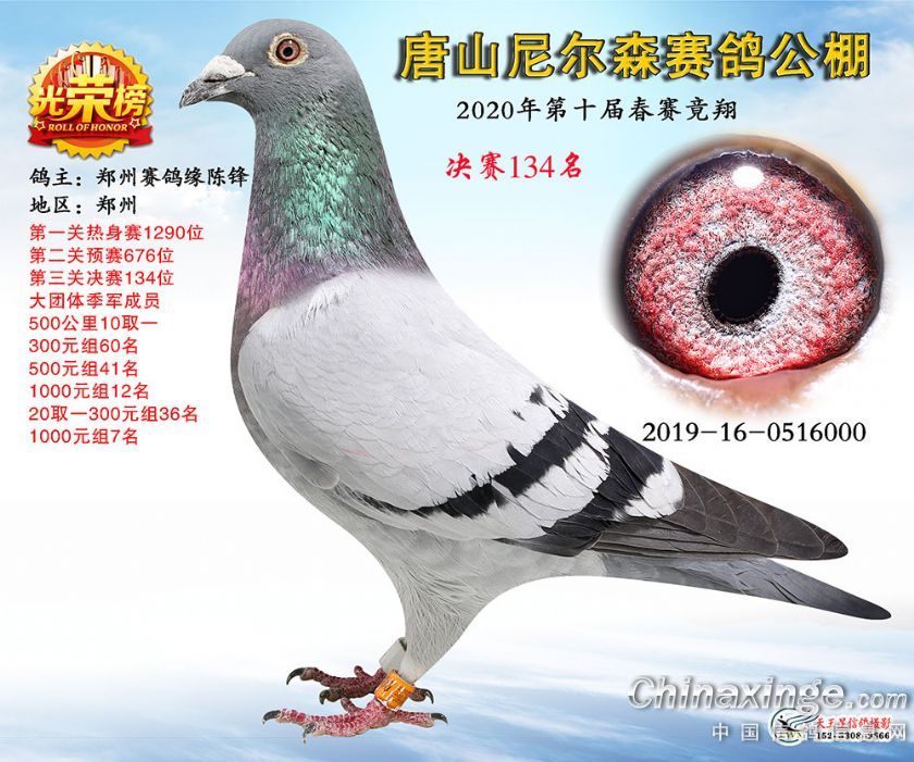 2020年春唐山尼尔森公棚决赛134名