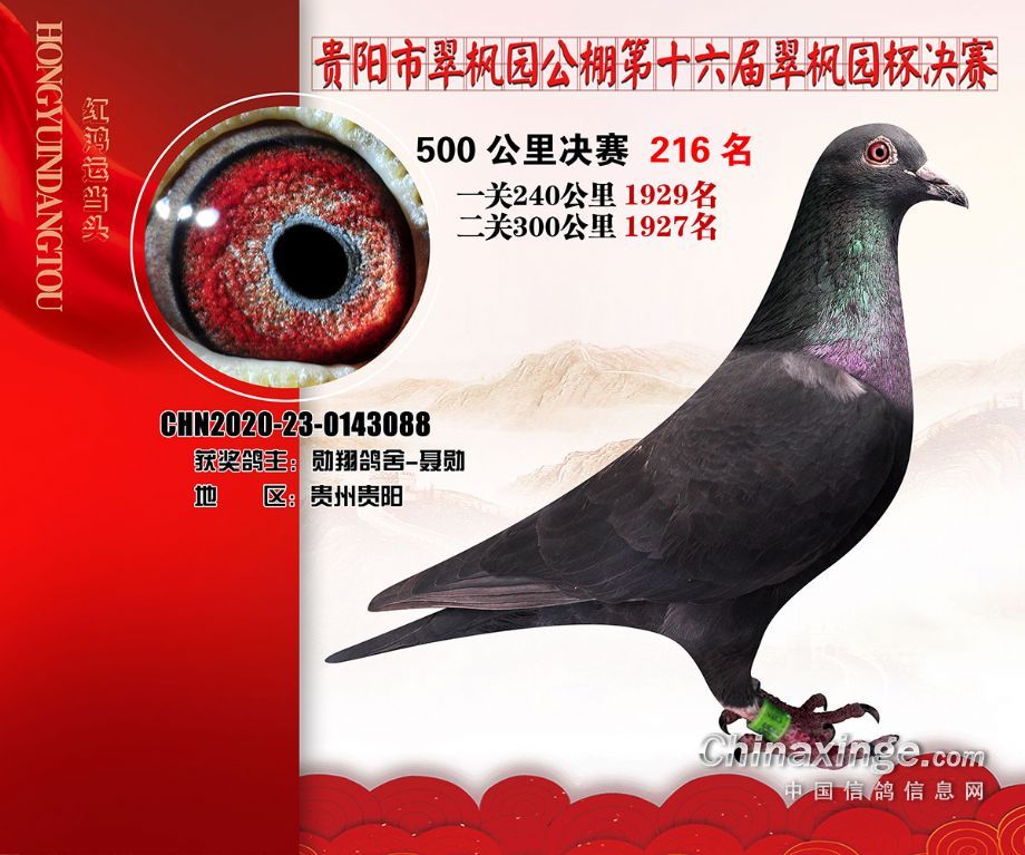 鲁道克拉森