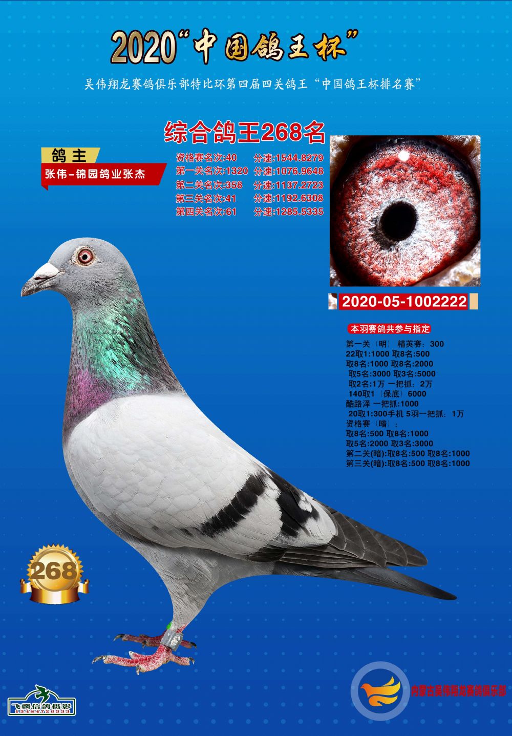 2020年包头吴伟翔龙赛鸽俱乐部268名