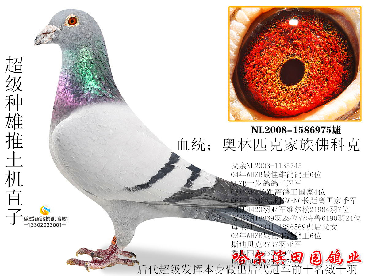 年轻推土机直女106