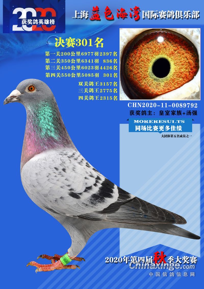 蓝色海湾决赛301名