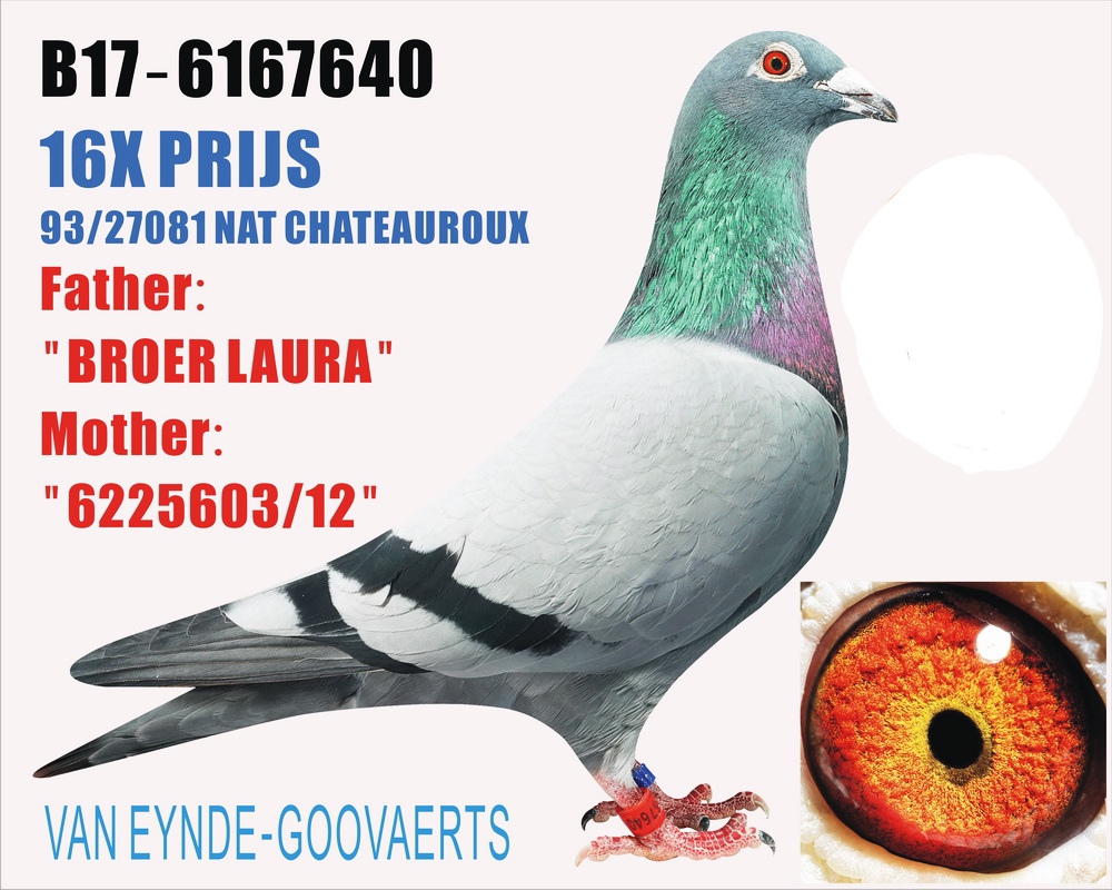 奶酪劳拉744父查特鲁520公里36名