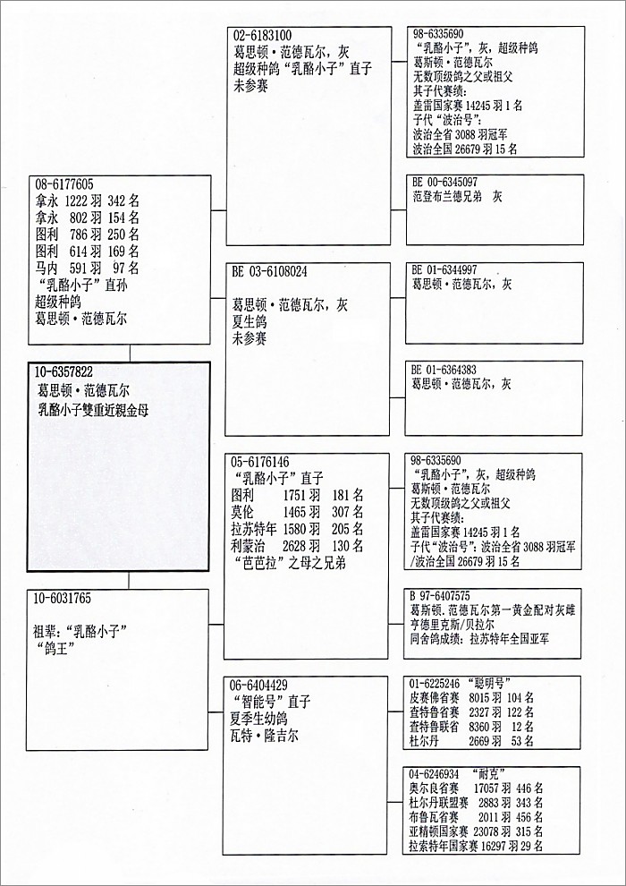 奶酪小子双重近亲金母